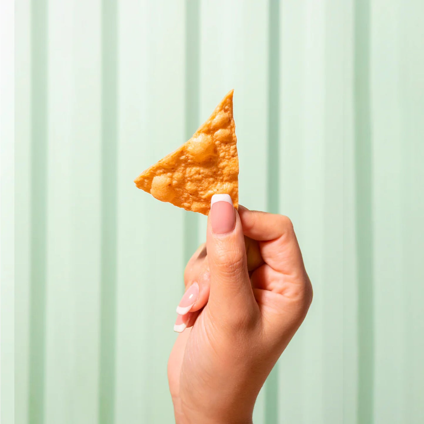 Palamano Lemon Lime Almond Tortilla Chips